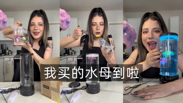 【Emma】Con sứa tôi mua đã đến rồi｜Phụ đề tiếng Trung｜
