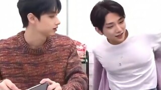 Not only did I see it, but the kitten saw it too—and even went “woof~”!