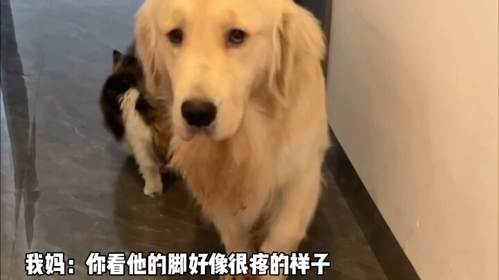 ฉันถามว่าทำไมถึงไม่ให้ฉันออกไปข้างนอกล่ะ…