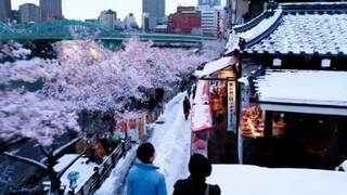 Open AI 发布文字生成视频大模型 样片非常震撼