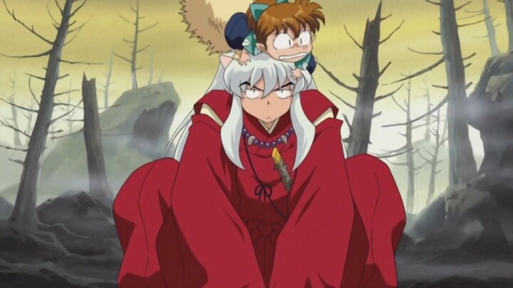 ชิโป๋กับอินุยาฉะ เทพอสูรจิ้งจอกเงิน ชอบเถียงกันแกล้งกันสุดๆ น่ารักปนดุเด็ดเผ็ดมัน!