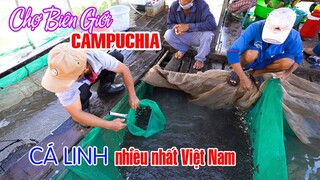 Khám phá Chợ Biên Giới Campuchia mùa nước nổi nơi Cá Linh nhiều nhất Việt Nam | DU LỊCH AN GIANG