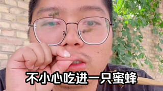 I'm shocked, what kind of performance is this?