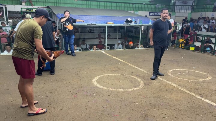 Straight Sweater Strikes Again - Peterfun GM