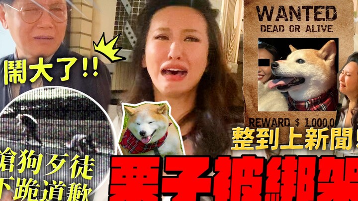 Qiangqiang | Anjing kesayangan Lizi diculik oleh penjahat, skema lelucon April Mop yang benar‑benar 