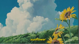 Rex Orange County - Sunflower (Alphasvara Lo-Fi Remix)