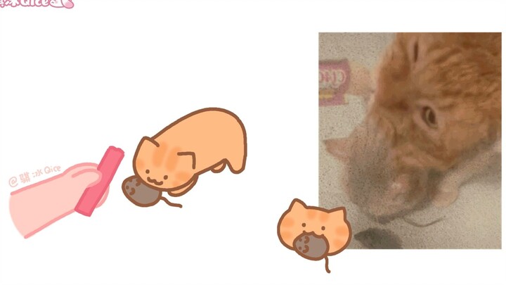 Orange Cat: Mom! My meat is gone, wuuuuh! It’s all your fault! [A Real Cat’s True Story]