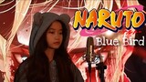 Blue Bird ( Naruto Shippuden OP 3 ) | Shania Yan Cover