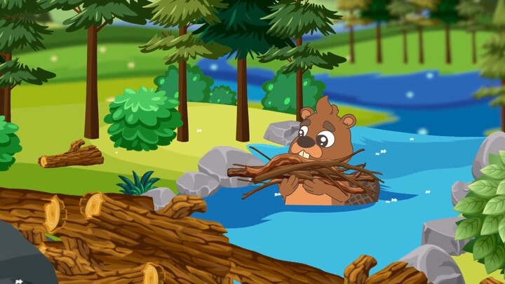 las aventuras de claqui el castor // 海狸克拉奇历险记//The Adventures of Claqui the Beaver