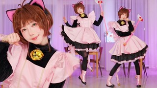 Con mèo được mượn là Sakura!!