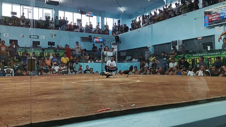 San Mateo cockpit arena Rizal