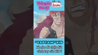 Ai đã chặt tay của Captain Kid #luffy #onepiece#kid#shorts