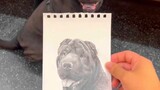 Saat saya menggambar anjing orang asing