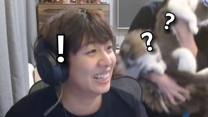 【คุณหมอเสี่ยวเฉา】วันนี้เป็นแมวน้อยความละเอียดสูง～