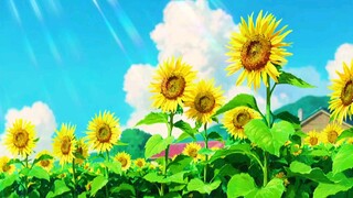 clip of sun flower