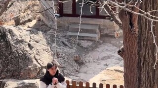 网友偶遇李易峰了，像普通人一样参拜，这是真的本人吗 还是长得像