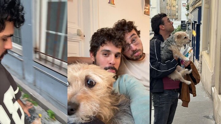 If a dog starts following you on the street, why not just bring it home and see what happens?