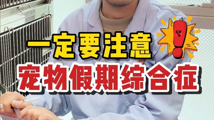 Ternyata hewan peliharaan juga bisa mengalami “sindrom pasca-liburan”? Bagaimana cara mengatasinya?