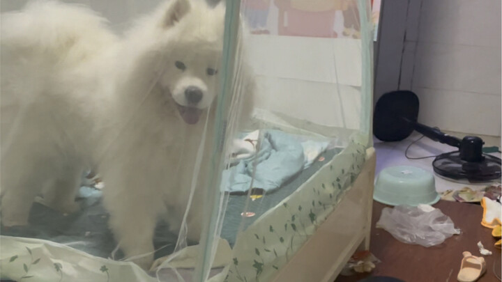 It must be that I'm opening it the wrong way!