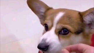 Killing intent gradually arises.