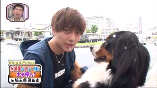 2020.08.05 ネタ掘れワンワンの旅 永瀬廉