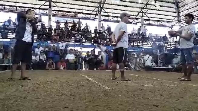 2x winner talisayin