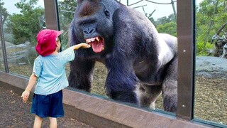 A Weekend At The Zoo - Funny Animals Video At The Zoo | Pet Squad