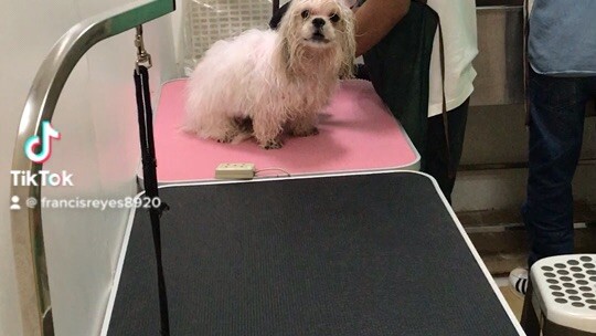 After taking shower he cry