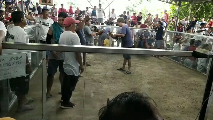 OGK sweater kelso(win)