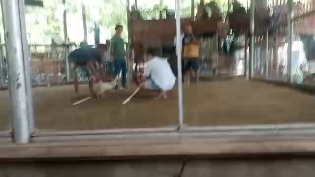 2 wins sa upland, first fight boss aidy💪