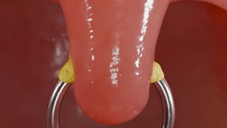 อย่าเจาะรูในปากโดยไร้เหตุผล