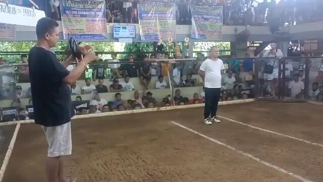 4 Stag derby Tuy Batangas CSUGF CO CHAMPION