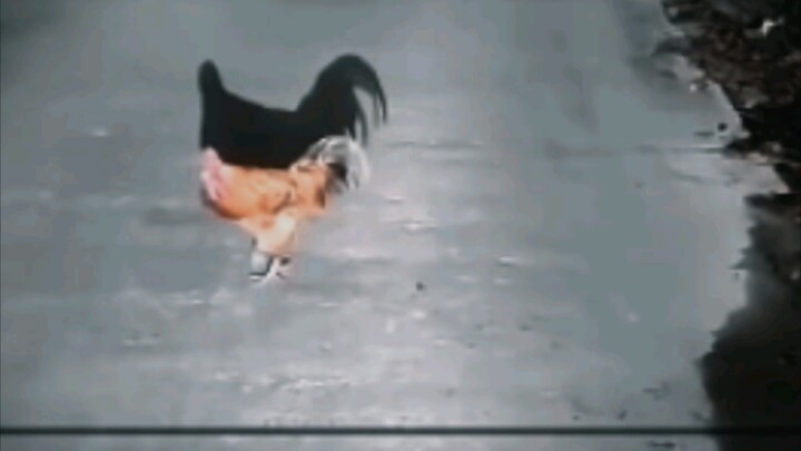 Bagaimana jika yang kerasukan itu kamu?