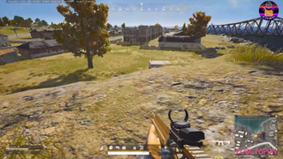 Bắp gi đỉnh cao là đây