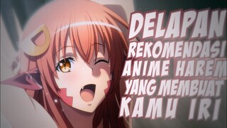 8 Rekomendasi Anime Harem Yang dapat membuatmu iri Hati part 2