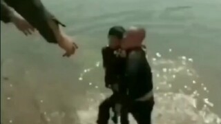 "Putting the Cart Before the Horse"