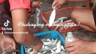 Buhay mangingisda!