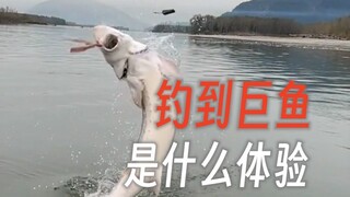 在加拿大弗雷泽河钓鱼，是什么体验？