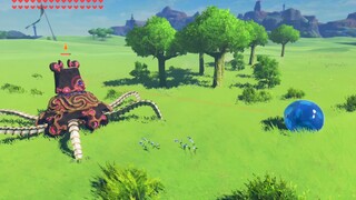 "The Legend of Zelda" tentang aku yang bereinkarnasi sebagai Chuchugum