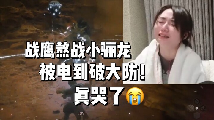 นกอินทรีสงครามสู้กับมังกรเล็กเสี่ยวหลี ตายไปหลายสิบครั้งจนถูกช็อกไฟฟ้าจนทนไม่ไหว! ร้องไห้หนักมากในไล