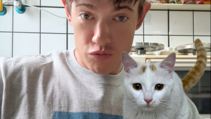 An international student found a freedom-loving mother cat.