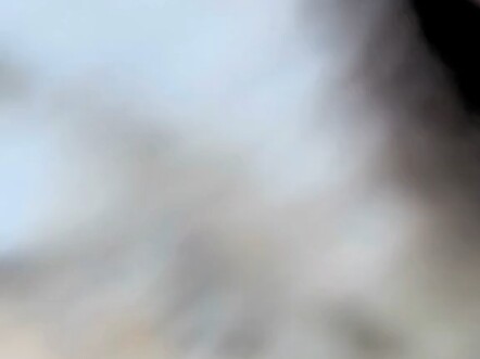 母老虎不能听到有人说它胖，会吐口水！