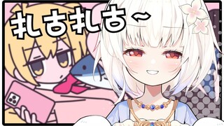 骂杂🐟一百遍+++(⩌ᴗ⩌ )