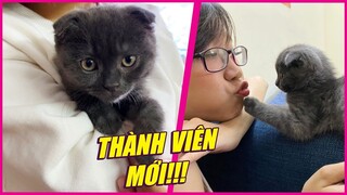 VLOG ĐẶC BIỆT: CÙNG BẠN Q ĐÓN "CUP" VỀ NHÀ...🥰🥰🥰 - CUP THE CAT