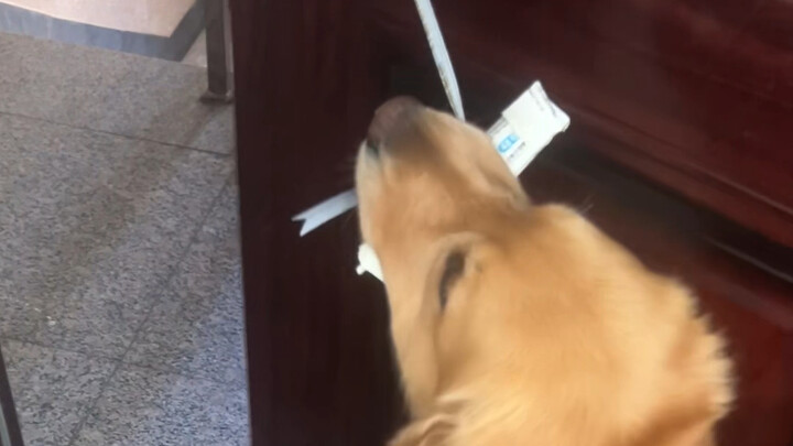 يا له من يوم ثمين! لم يكن سهلاً على الإطلاق