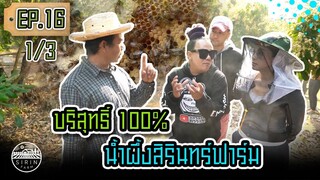 บริสุทธิ์ 100% น้ำผึ้งสิรินทร์ฟาร์ม Pure&Delicious Honey from SirinFarm  EP.16 (1/3)