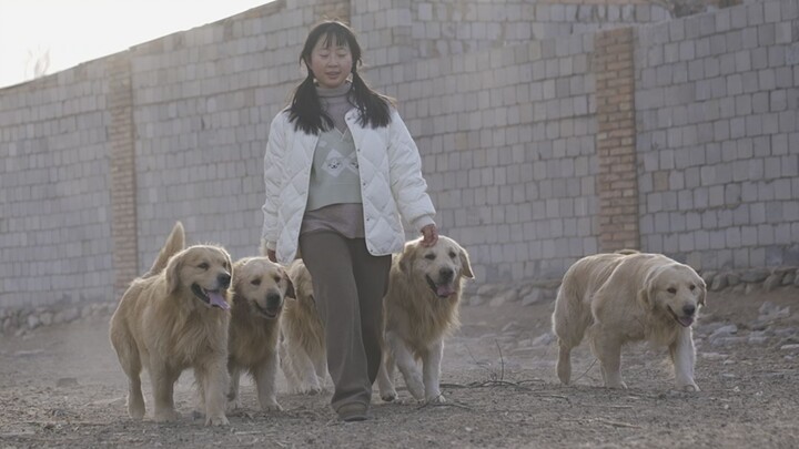 Isn't letting your dog run around freely every pet parent's dream?