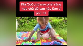 monkey dog animals cliphay cliphai friends family thieunhi car study Papa nói CoCo phải đi học đó các bạn