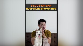 5 lưu ý khi bạn nuôi chung chó với mèo petonesaigon tuitienpet petnhatrang dcgr
