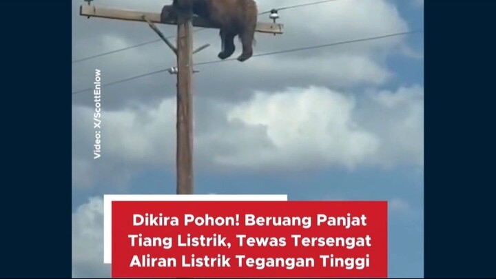 #beritapagi #news #viral #fyp